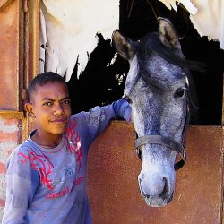 Ägyptischer Junge mit seinem Pferd